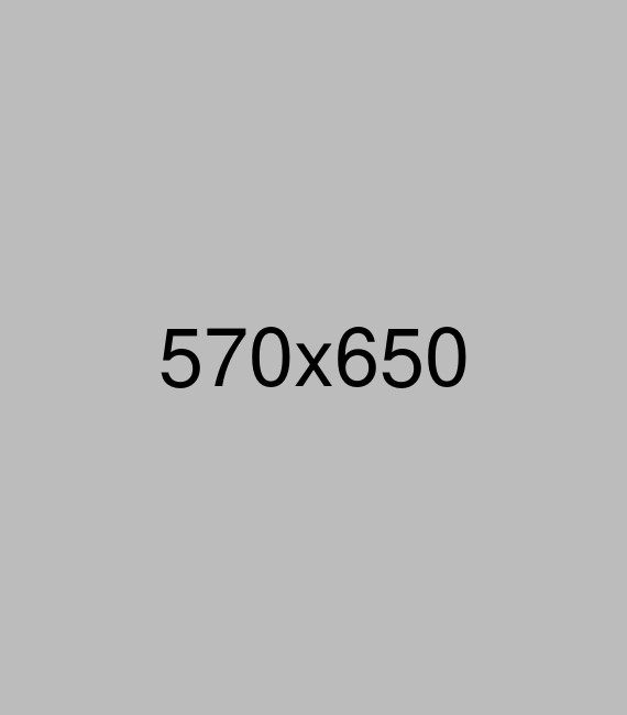 vl-about-thum-inner-large-1.3.png